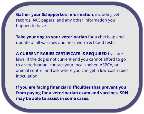 Gather your Schipperke’s information, including vet records, AKC papers, and any other information you happen to have.  Take your dog to your veterinarian for a check-up and update of all vaccines and heartworm & blood tests.   A CURRENT RABIES CERTIFICATE IS REQUIRED by state laws. If the dog is not current and you cannot afford to go to a veterinarian, contact your local shelter, ASPCA, or animal control and ask where you can get a low-cost rabies inoculation.   If you are facing financial difficulties that prevent you from paying for a veterinarian exam and vaccines, SRN may be able to assist in some cases.