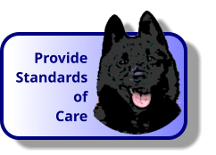 Provide Standards of Care