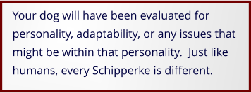 Your dog will have been evaluated for personality, adaptability, or any issues that might be within that personality.  Just like humans, every Schipperke is different.