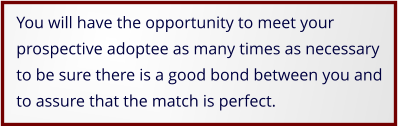You will have the opportunity to meet your prospective adoptee as many times as necessary to be sure there is a good bond between you and to assure that the match is perfect. 