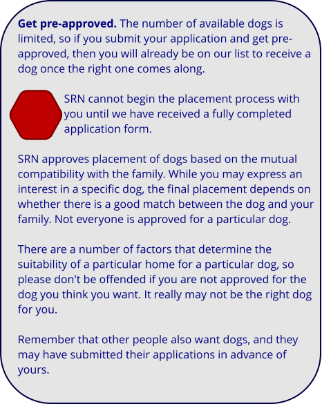 Get pre-approved. The number of available dogs is limited, so if you submit your application and get pre-approved, then you will already be on our list to receive a dog once the right one comes along.   SRN cannot begin the placement process with you until we have received a fully completed application form.  SRN approves placement of dogs based on the mutual compatibility with the family. While you may express an interest in a specific dog, the final placement depends on whether there is a good match between the dog and your family. Not everyone is approved for a particular dog.   There are a number of factors that determine the suitability of a particular home for a particular dog, so please don't be offended if you are not approved for the dog you think you want. It really may not be the right dog for you.   Remember that other people also want dogs, and they may have submitted their applications in advance of yours.