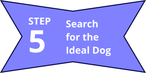Search for the Ideal Dog 5 STEP