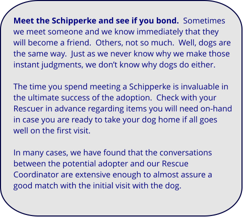 Meet the Schipperke and see if you bond.  Sometimes we meet someone and we know immediately that they will become a friend.  Others, not so much.  Well, dogs are the same way.  Just as we never know why we make those instant judgments, we don’t know why dogs do either.  The time you spend meeting a Schipperke is invaluable in the ultimate success of the adoption.  Check with your Rescuer in advance regarding items you will need on-hand in case you are ready to take your dog home if all goes well on the first visit.   In many cases, we have found that the conversations between the potential adopter and our Rescue Coordinator are extensive enough to almost assure a good match with the initial visit with the dog.
