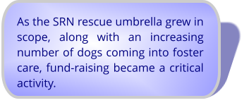 As the SRN rescue umbrella grew in scope, along with an increasing number of dogs coming into foster care, fund-raising became a critical activity.